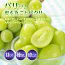 食べ比べ「ナガノパープル&シャインマスカット」約1kg&nbsp;入【2026年9月以降発送予定】(さらしな青果)&nbsp;|&nbsp;&nbsp;ぶどう&nbsp;食べ比べ&nbsp;ナガノパープル&nbsp;シャインマスカット&nbsp;人気&nbsp;おすすめ&nbsp;葡萄&nbsp;ブドウ&nbsp;フルーツ&nbsp;果物&nbsp;セット&nbsp;詰合せ&nbsp;旬&nbsp;産地直送&nbsp;ギフト&nbsp;プレゼント&nbsp;長野県&nbsp;長野市&nbsp;信州&nbsp;信濃&nbsp;ふるさと納税