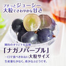 食べ比べ「ナガノパープル&シャインマスカット」約1kg&nbsp;入【2026年9月以降発送予定】(さらしな青果)&nbsp;|&nbsp;&nbsp;ぶどう&nbsp;食べ比べ&nbsp;ナガノパープル&nbsp;シャインマスカット&nbsp;人気&nbsp;おすすめ&nbsp;葡萄&nbsp;ブドウ&nbsp;フルーツ&nbsp;果物&nbsp;セット&nbsp;詰合せ&nbsp;旬&nbsp;産地直送&nbsp;ギフト&nbsp;プレゼント&nbsp;長野県&nbsp;長野市&nbsp;信州&nbsp;信濃&nbsp;ふるさと納税