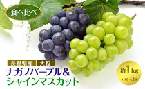 食べ比べ「ナガノパープル&シャインマスカット」約1kg&nbsp;（2～３房）入【2026年9月以降発送予定】(さらしな青果)&nbsp;|&nbsp;&nbsp;ぶどう&nbsp;食べ比べ&nbsp;ナガノパープル&nbsp;シャインマスカット&nbsp;人気&nbsp;おすすめ&nbsp;葡萄&nbsp;ブドウ&nbsp;フルーツ&nbsp;果物&nbsp;セット&nbsp;詰合せ&nbsp;旬&nbsp;産地直送&nbsp;ギフト&nbsp;プレゼント&nbsp;長野県&nbsp;長野市&nbsp;信州&nbsp;信濃&nbsp;ふるさと納税