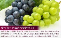食べ比べ「ナガノパープル&シャインマスカット」約1kg&nbsp;（2～３房）入【2026年9月以降発送予定】(さらしな青果)&nbsp;|&nbsp;&nbsp;ぶどう&nbsp;食べ比べ&nbsp;ナガノパープル&nbsp;シャインマスカット&nbsp;人気&nbsp;おすすめ&nbsp;葡萄&nbsp;ブドウ&nbsp;フルーツ&nbsp;果物&nbsp;セット&nbsp;詰合せ&nbsp;旬&nbsp;産地直送&nbsp;ギフト&nbsp;プレゼント&nbsp;長野県&nbsp;長野市&nbsp;信州&nbsp;信濃&nbsp;ふるさと納税