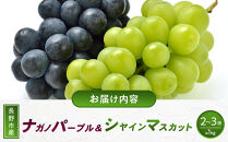食べ比べ「ナガノパープル&シャインマスカット」約1kg&nbsp;（2～３房）入【2026年9月以降発送予定】(さらしな青果)&nbsp;|&nbsp;&nbsp;ぶどう&nbsp;食べ比べ&nbsp;ナガノパープル&nbsp;シャインマスカット&nbsp;人気&nbsp;おすすめ&nbsp;葡萄&nbsp;ブドウ&nbsp;フルーツ&nbsp;果物&nbsp;セット&nbsp;詰合せ&nbsp;旬&nbsp;産地直送&nbsp;ギフト&nbsp;プレゼント&nbsp;長野県&nbsp;長野市&nbsp;信州&nbsp;信濃&nbsp;ふるさと納税