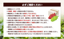 長野市産&nbsp;クイーンルージュ＆シャインマスカット&nbsp;1kg【2026年9月中旬以降出荷分】&nbsp;|&nbsp;&nbsp;ぶどう&nbsp;クイーンルージュ&nbsp;希少&nbsp;シャインマスカット&nbsp;人気&nbsp;おすすめ&nbsp;葡萄&nbsp;ブドウ&nbsp;フルーツ&nbsp;果物&nbsp;食べ比べ&nbsp;皮ごと&nbsp;種なし&nbsp;糖度&nbsp;ギフト&nbsp;プレゼント&nbsp;長野県&nbsp;長野市&nbsp;信州&nbsp;信濃&nbsp;ふるさと納税