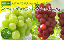 長野市産&nbsp;クイーンルージュ＆シャインマスカット&nbsp;1kg【2026年9月中旬以降出荷分】&nbsp;|&nbsp;&nbsp;ぶどう&nbsp;クイーンルージュ&nbsp;希少&nbsp;シャインマスカット&nbsp;人気&nbsp;おすすめ&nbsp;葡萄&nbsp;ブドウ&nbsp;フルーツ&nbsp;果物&nbsp;食べ比べ&nbsp;皮ごと&nbsp;種なし&nbsp;糖度&nbsp;ギフト&nbsp;プレゼント&nbsp;長野県&nbsp;長野市&nbsp;信州&nbsp;信濃&nbsp;ふるさと納税