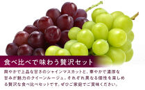 長野市産&nbsp;クイーンルージュ(R)＆シャインマスカット&nbsp;1kg【2026年9月中旬以降出荷分】&nbsp;|&nbsp;&nbsp;ぶどう&nbsp;クイーンルージュ&nbsp;希少&nbsp;シャインマスカット&nbsp;人気&nbsp;おすすめ&nbsp;葡萄&nbsp;ブドウ&nbsp;フルーツ&nbsp;果物&nbsp;食べ比べ&nbsp;皮ごと&nbsp;種なし&nbsp;糖度&nbsp;ギフト&nbsp;プレゼント&nbsp;長野県&nbsp;長野市&nbsp;信州&nbsp;信濃&nbsp;ふるさと納税