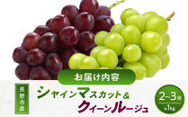 長野市産&nbsp;クイーンルージュ(R)＆シャインマスカット&nbsp;1kg【2026年9月中旬以降出荷分】&nbsp;|&nbsp;&nbsp;ぶどう&nbsp;クイーンルージュ&nbsp;希少&nbsp;シャインマスカット&nbsp;人気&nbsp;おすすめ&nbsp;葡萄&nbsp;ブドウ&nbsp;フルーツ&nbsp;果物&nbsp;食べ比べ&nbsp;皮ごと&nbsp;種なし&nbsp;糖度&nbsp;ギフト&nbsp;プレゼント&nbsp;長野県&nbsp;長野市&nbsp;信州&nbsp;信濃&nbsp;ふるさと納税