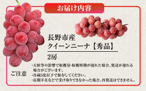 タマファーム　長野市産&nbsp;クイーンニーナ&nbsp;【秀品】2房&nbsp;|&nbsp;&nbsp;クイーンニーナ&nbsp;ぶどう&nbsp;葡萄&nbsp;フルーツ&nbsp;果物&nbsp;タマファーム&nbsp;人気&nbsp;おすすめ&nbsp;&nbsp;送料無料&nbsp;&nbsp;長野県&nbsp;長野市&nbsp;信州&nbsp;信濃&nbsp;ふるさと納税
