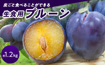 生食用プルーン約1.2kg【2026年8月中旬以降発送予定】&nbsp;|&nbsp;&nbsp;プルーン&nbsp;生食用&nbsp;完熟&nbsp;栄養豊富&nbsp;人気&nbsp;おすすめ&nbsp;フルーツ&nbsp;果物&nbsp;デザート&nbsp;ビタミン&nbsp;ミネラル&nbsp;食物繊維&nbsp;ポリフェノール&nbsp;健康&nbsp;美容&nbsp;ギフト&nbsp;プレゼント&nbsp;長野県&nbsp;長野市&nbsp;信州&nbsp;信濃&nbsp;ふるさと納税