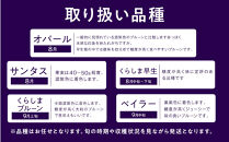 生食用プルーン約1.2kg【2026年8月中旬以降発送予定】&nbsp;|&nbsp;&nbsp;プルーン&nbsp;生食用&nbsp;完熟&nbsp;栄養豊富&nbsp;人気&nbsp;おすすめ&nbsp;フルーツ&nbsp;果物&nbsp;デザート&nbsp;ビタミン&nbsp;ミネラル&nbsp;食物繊維&nbsp;ポリフェノール&nbsp;健康&nbsp;美容&nbsp;ギフト&nbsp;プレゼント&nbsp;長野県&nbsp;長野市&nbsp;信州&nbsp;信濃&nbsp;ふるさと納税