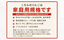 ＜&nbsp;訳あり&nbsp;ご家庭用&nbsp;＞2026年長野市産&nbsp;サンふじ&nbsp;規格外&nbsp;訳あり&nbsp;約5kg&nbsp;|&nbsp;&nbsp;りんご&nbsp;サンふじ&nbsp;訳あり&nbsp;規格外&nbsp;人気&nbsp;おすすめ&nbsp;林檎&nbsp;リンゴ&nbsp;フルーツ&nbsp;果物&nbsp;家庭用&nbsp;応援&nbsp;長野県&nbsp;長野市&nbsp;信州&nbsp;信濃&nbsp;ふるさと納税