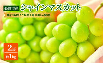 長野市産シャインマスカット2房（約1kg）【2026年9月中旬以降の出荷分】（本気農場いけだ）