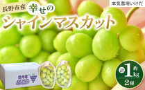 本気農場いけだ　長野市産シャインマスカット2房（約1kg）【2026年9月中旬以降の出荷分】&nbsp;|&nbsp;&nbsp;シャインマスカット&nbsp;ぶどう&nbsp;フルーツ&nbsp;果物&nbsp;人気&nbsp;おすすめ&nbsp;ギフト&nbsp;プレゼント&nbsp;送料無料&nbsp;長野県&nbsp;長野市&nbsp;信州&nbsp;信濃&nbsp;ふるさと納税