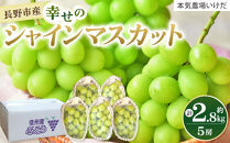 本気農場いけだ　長野市産シャインマスカット5房（約2.8kg）【2026年9月中旬以降の出荷分】&nbsp;|&nbsp;&nbsp;シャインマスカット&nbsp;ぶどう&nbsp;フルーツ&nbsp;果物&nbsp;人気&nbsp;おすすめ&nbsp;ギフト&nbsp;プレゼント&nbsp;送料無料&nbsp;長野県&nbsp;長野市&nbsp;信州&nbsp;信濃&nbsp;ふるさと納税