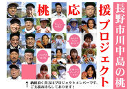 【先行予約】桃4kg(長野市川中島の桃農家を応援プロジェクト)【2026年7月下旬以降出荷分】