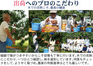 【先行予約】桃4kg(長野市川中島の桃農家を応援プロジェクト)【2026年7月下旬以降出荷分】