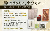 信州田舎そば（手打ち）4人前・薬味・鴨つけ汁セット[箱]（美包）&nbsp;|&nbsp;そば&nbsp;蕎麦&nbsp;手打ちそば&nbsp;麺&nbsp;麺類&nbsp;グルメ&nbsp;人気&nbsp;おすすめ&nbsp;長野県&nbsp;長野市&nbsp;信州&nbsp;信濃&nbsp;ふるさと納税