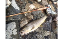 横田バンブーフライロッド&nbsp;M70&nbsp;&nbsp;&nbsp;#3/4&nbsp;釣り&nbsp;釣り竿&nbsp;釣り道具