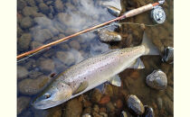 横田バンブーフライロッド&nbsp;M70&nbsp;&nbsp;&nbsp;#3/4&nbsp;釣り&nbsp;釣り竿&nbsp;釣り道具