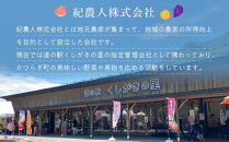 [先行予約]&nbsp;和歌山県産ネーブル&nbsp;約4kg　大玉（8個～9個）秀品&nbsp;こだわり農家厳選&nbsp;［KG35］