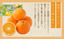 [先行予約]&nbsp;和歌山県産ネーブル&nbsp;約4kg　大玉（8個～9個）秀品&nbsp;こだわり農家厳選&nbsp;［KG35］