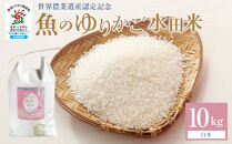 米&nbsp;きらみずき&nbsp;魚のゆりかご水田米&nbsp;滋賀県産&nbsp;10kg