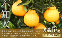 ※先行予約・2026年3月下旬発送開始予定※&nbsp;不知火&nbsp;2Lサイズ&nbsp;20玉&nbsp;約5kg&nbsp;秀品