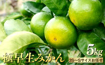 ※先行予約・2026年9月下旬発送開始予定※&nbsp;和歌山産&nbsp;極早生みかん&nbsp;5kg&nbsp;3S～Sサイズおまかせ&nbsp;［YN-26］橋詰農園