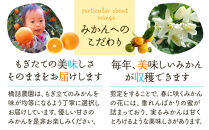 ※先行予約・2026年9月下旬発送開始予定※&nbsp;和歌山産&nbsp;極早生みかん&nbsp;5kg&nbsp;3S～Sサイズおまかせ&nbsp;［YN-26］橋詰農園
