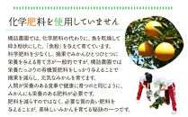 ※先行予約・2026年9月下旬発送開始予定※&nbsp;和歌山産&nbsp;極早生みかん&nbsp;5kg&nbsp;3S～Sサイズおまかせ&nbsp;［YN-26］橋詰農園