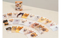 もふもふポメラニアンが大集合！ポメあわせ