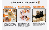 もふもふポメラニアンが大集合！ポメあわせ