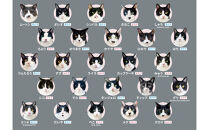 黒猫あわせ＆ハチワレあわせセット