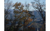 干し芋400ｇ（200g×2袋）自然栽培のべにはるか