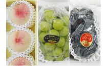 岡山県産&nbsp;フルーツ定期便全３回＜お一人様向け＞