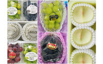 岡山県産&nbsp;フルーツ定期便全6回＜お一人様向け＞