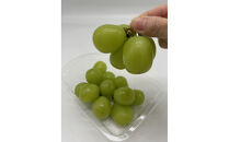 岡山県産&nbsp;フルーツ定期便全6回＜お一人様向け＞