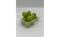 岡山県産&nbsp;フルーツ定期便全6回＜お一人様向け＞