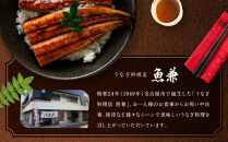 ＜三河一色産うなぎ＞　超特上8匹　（計1600g）老舗　和食　魚兼　国産　高級