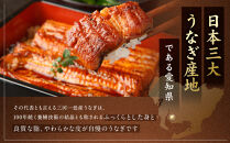 ＜三河一色産うなぎ＞　超特上8匹　（計1600g）老舗　和食　魚兼　国産　高級