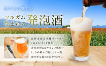 信州ソルガムエール煌り(きらり)　12本セット&nbsp;|&nbsp;地ビール&nbsp;発泡酒&nbsp;ソルガムエール&nbsp;きらり&nbsp;人気&nbsp;おすすめ&nbsp;アルコール&nbsp;飲料&nbsp;&nbsp;送料無料&nbsp;長野県&nbsp;長野市&nbsp;信州&nbsp;信濃&nbsp;ふるさと納税