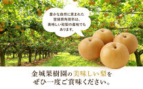 【2026年先行予約】金城果樹園　梨「幸水」約5kg（10～16玉入）2026年8月中旬～順次発送