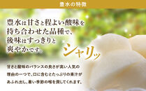 【2026年先行予約】金城果樹園　梨「豊水」約5kg（8～14玉入）2026年9月初旬～順次発送