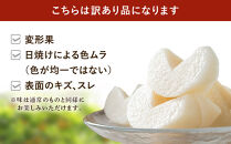 【訳あり／2026年先行予約】金城果樹園　梨「豊水」約5kg（8～14玉入）2026年9月初旬～順次発送