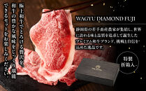 龍馬1865＋WAGYU&nbsp;DIAMOND&nbsp;FUJI（部位5種&nbsp;食べ比べセット）【配送不可：沖縄県・離島】|&nbsp;ビール&nbsp;ノンアルコール&nbsp;ノンアル&nbsp;和牛&nbsp;焼肉&nbsp;肩ロース&nbsp;ロース&nbsp;モモ&nbsp;カルビ&nbsp;三角バラ&nbsp;高級牛肉&nbsp;国産牛&nbsp;お取り寄せ&nbsp;グルメ&nbsp;贅沢&nbsp;霜降り&nbsp;バーベキュー&nbsp;BBQ&nbsp;家庭用&nbsp;ギフト&nbsp;贈答用&nbsp;冷凍&nbsp;ブランド牛&nbsp;お祝い&nbsp;記念日&nbsp;ご褒美&nbsp;人気&nbsp;おすすめ&nbsp;送料無料