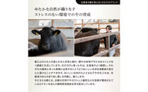 龍馬1865＋WAGYU&nbsp;DIAMOND&nbsp;FUJI&nbsp;モモ(赤身)ステーキ300g・モモ(赤身)焼肉カット300g【配送不可：沖縄県・離島】