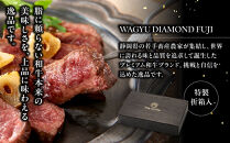 龍馬1865＋WAGYU&nbsp;DIAMOND&nbsp;FUJI&nbsp;モモ(赤身)ステーキ&nbsp;300g×2【配送不可：沖縄県・離島】|&nbsp;ビール&nbsp;ノンアルコール&nbsp;ノンアル&nbsp;和牛&nbsp;焼肉&nbsp;モモ肉&nbsp;モモステーキ&nbsp;高級牛肉&nbsp;国産牛&nbsp;お取り寄せ&nbsp;グルメ&nbsp;贅沢&nbsp;バーベキュー&nbsp;BBQ&nbsp;家庭用&nbsp;ギフト&nbsp;贈答用&nbsp;冷凍&nbsp;ブランド牛&nbsp;お祝い&nbsp;記念日&nbsp;ご褒美&nbsp;人気&nbsp;おすすめ&nbsp;送料無料