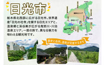 HISふるさと納税宿泊予約専用クーポン（栃木県日光市）60,000円分|日光市&nbsp;栃木県&nbsp;ホテル&nbsp;観光&nbsp;温泉&nbsp;旅行券&nbsp;宿泊券&nbsp;チケット&nbsp;国内旅行&nbsp;夏休み&nbsp;紅葉