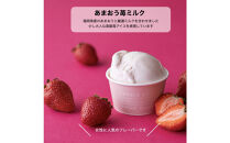 【全３回】＜パティシエ手作り＞至福のアイス6個セット【3ヶ月定期便】