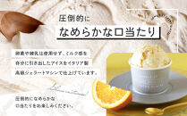 【全３回】＜パティシエ手作り＞至福のアイス6個セット【3ヶ月定期便】