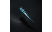 サブマリーナー（メダカ）1ペア&nbsp;メダカ屋えん&nbsp;横浜市