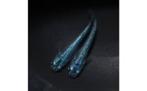 サブマリーナー（メダカ）1ペア&nbsp;メダカ屋えん&nbsp;横浜市